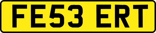FE53ERT