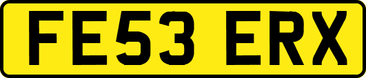 FE53ERX
