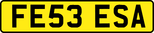 FE53ESA