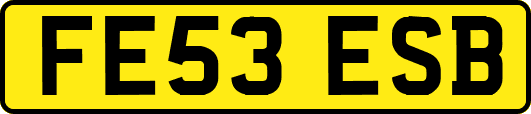 FE53ESB