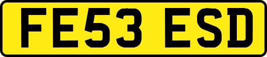 FE53ESD