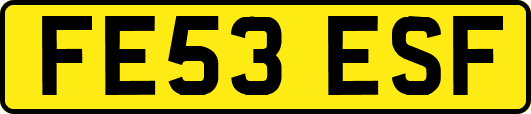 FE53ESF