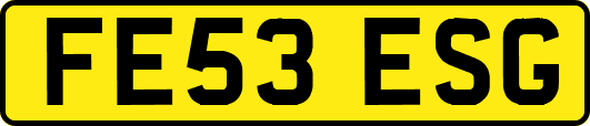 FE53ESG