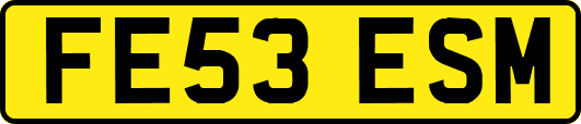 FE53ESM