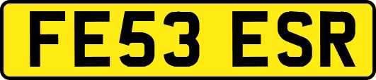 FE53ESR