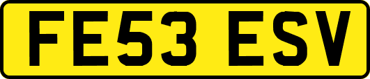FE53ESV