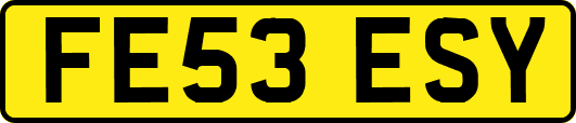 FE53ESY