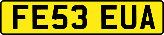 FE53EUA