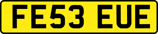 FE53EUE