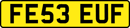 FE53EUF