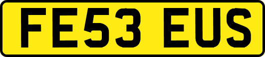FE53EUS