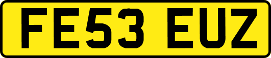 FE53EUZ
