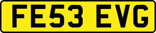 FE53EVG
