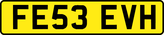 FE53EVH