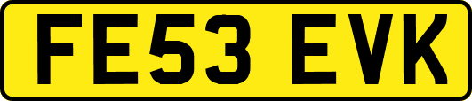 FE53EVK