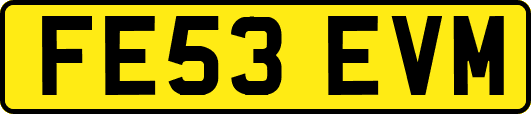 FE53EVM