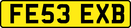 FE53EXB