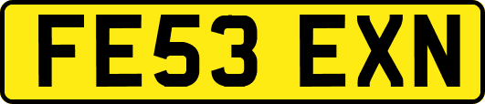 FE53EXN