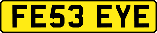FE53EYE