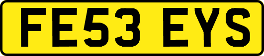 FE53EYS