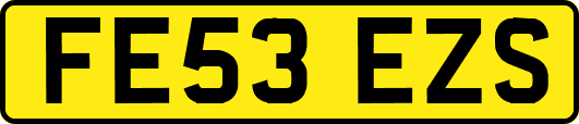 FE53EZS
