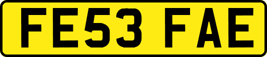 FE53FAE