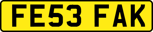 FE53FAK