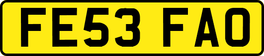 FE53FAO