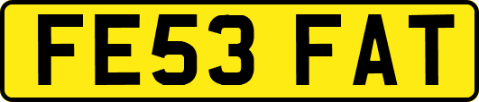 FE53FAT