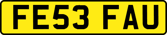 FE53FAU