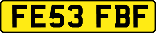 FE53FBF