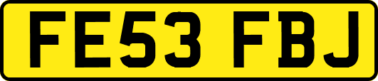 FE53FBJ