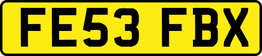 FE53FBX