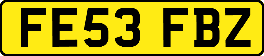 FE53FBZ