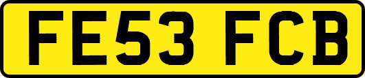 FE53FCB