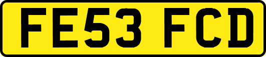 FE53FCD