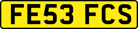 FE53FCS