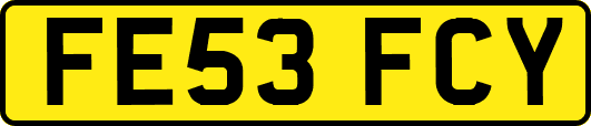FE53FCY