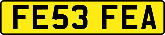 FE53FEA