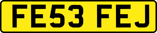 FE53FEJ