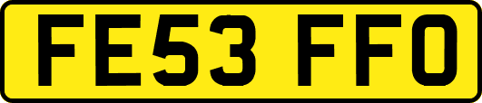 FE53FFO