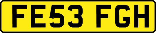 FE53FGH