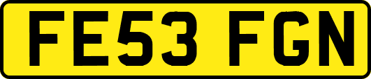 FE53FGN