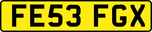 FE53FGX