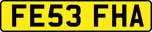 FE53FHA