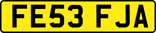 FE53FJA