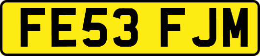 FE53FJM