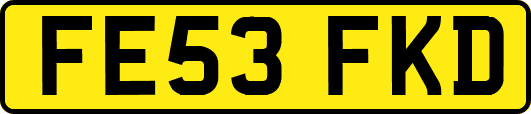 FE53FKD
