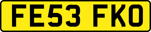 FE53FKO