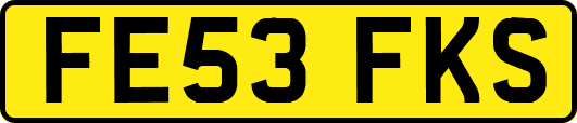 FE53FKS
